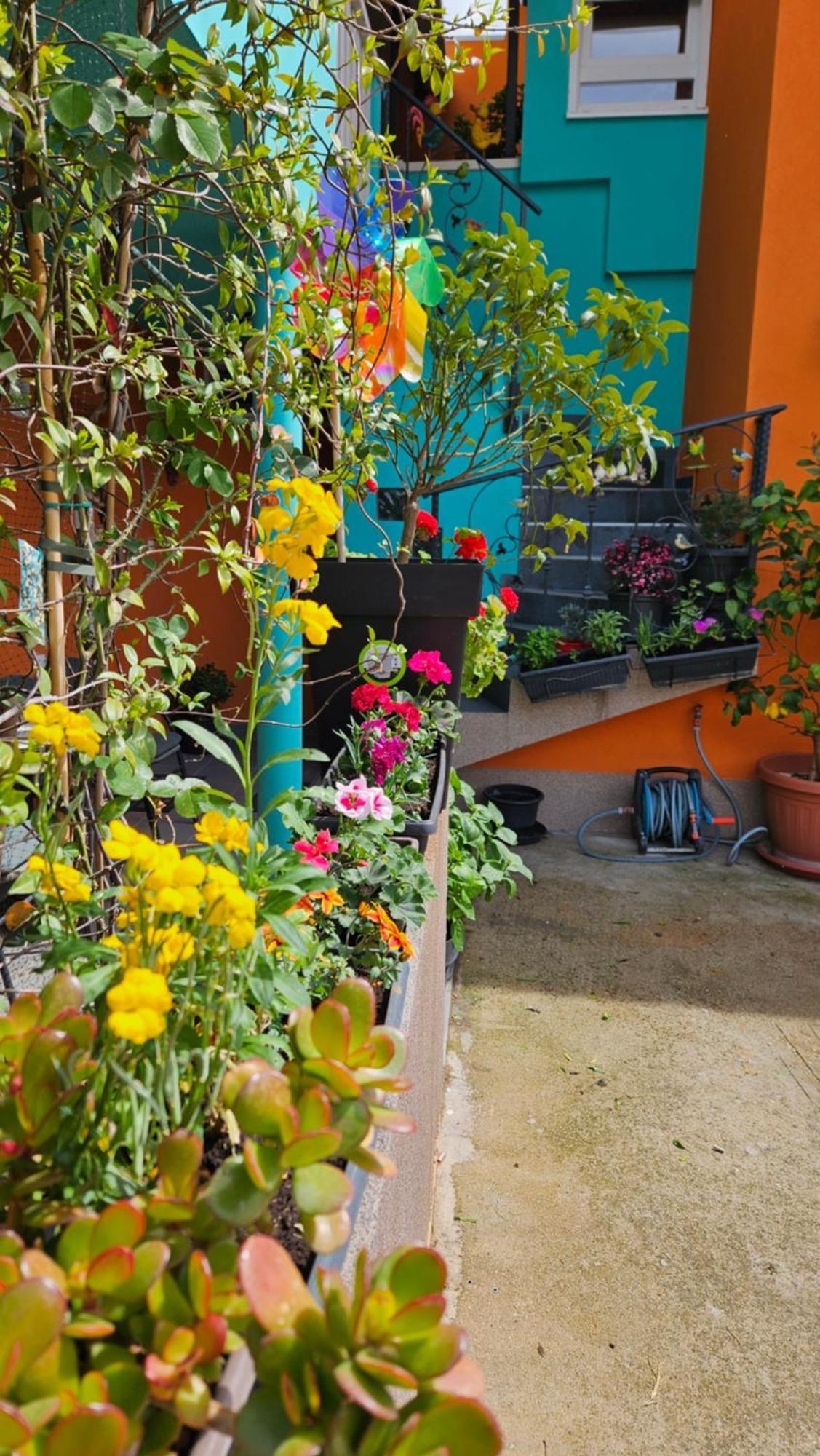 Mexicana Apartment Yellow Zadar Bagian luar foto